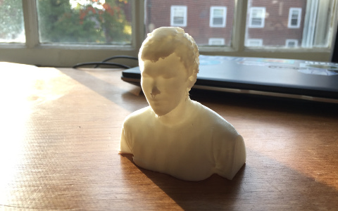 bust