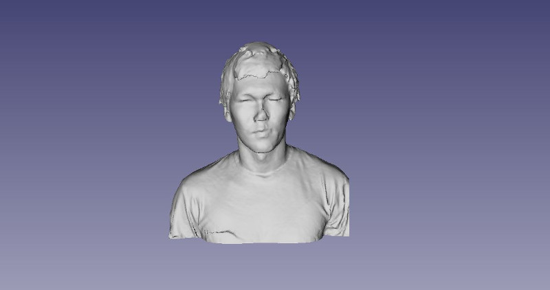 Bust